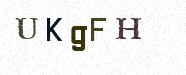 Visual Confirmation Security Code