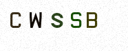 Visual Confirmation Security Code