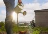 Green shoots: how veganism is changing gardening
