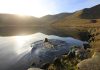 Wild swimming: ‘The sight of fresh water makes me thirsty to get in’