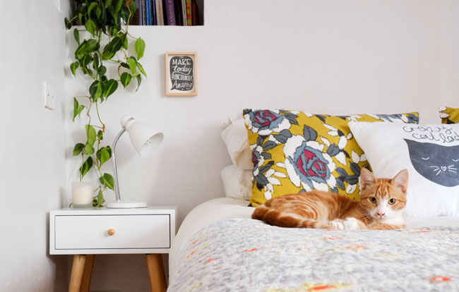 Home-furniture-1