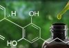 CBD Oil – Is It Really Healthy?