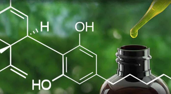 CBD Oil – Is It Really Healthy?