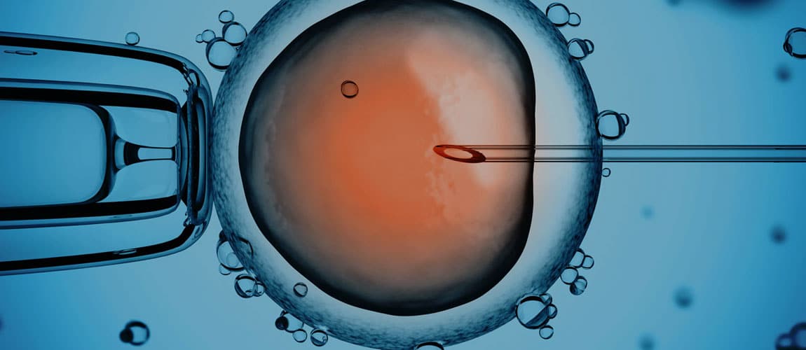 reproductive-technology-rate-header-image