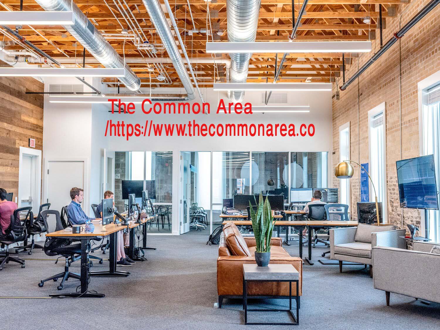 The Common Area
