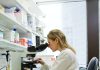 CD BioGlyco Supports Glycan Separation and Purification with Advanced Techniques