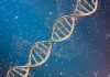 Competing for the last mile of vaccine research and development, mRNA vaccines become a hot spot for competition