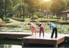 Wellness Industry Players, Segmentation, and Analysis