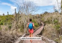 Responsible Wildlife Tourism: Ethical Encounters with Nature
